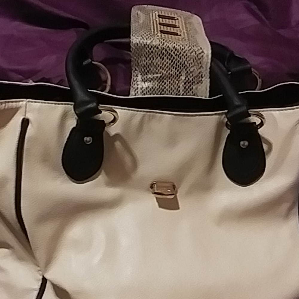 Aldo - Picture 4 of 16